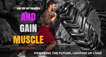 Cut Calories, Build Muscle: The Science Behind Lean Gains
