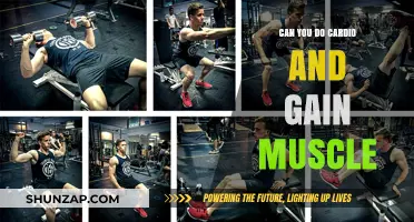 Cardio and Muscle Gain: Can You Build Strength While Staying Lean?