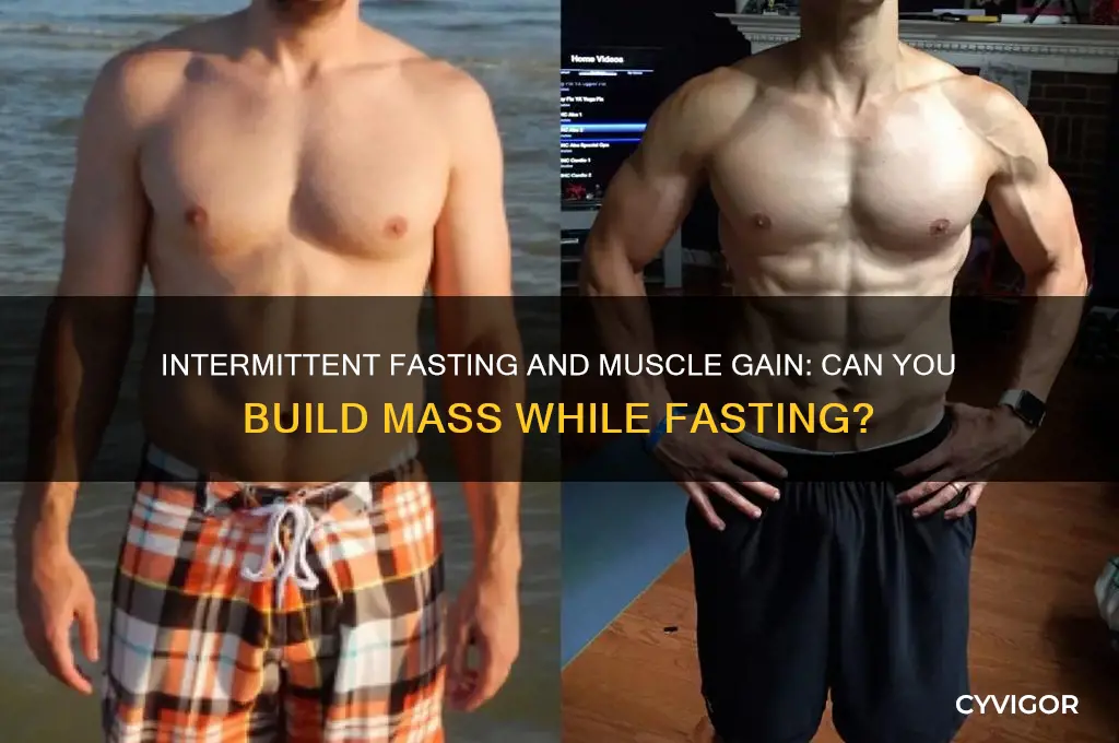 can you do intermittent fasting and gain muscle