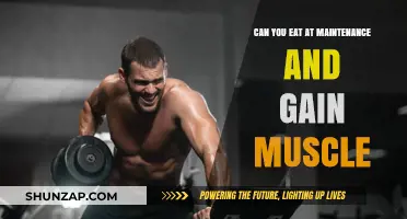 Eating at Maintenance: Can You Build Muscle Without a Caloric Surplus?