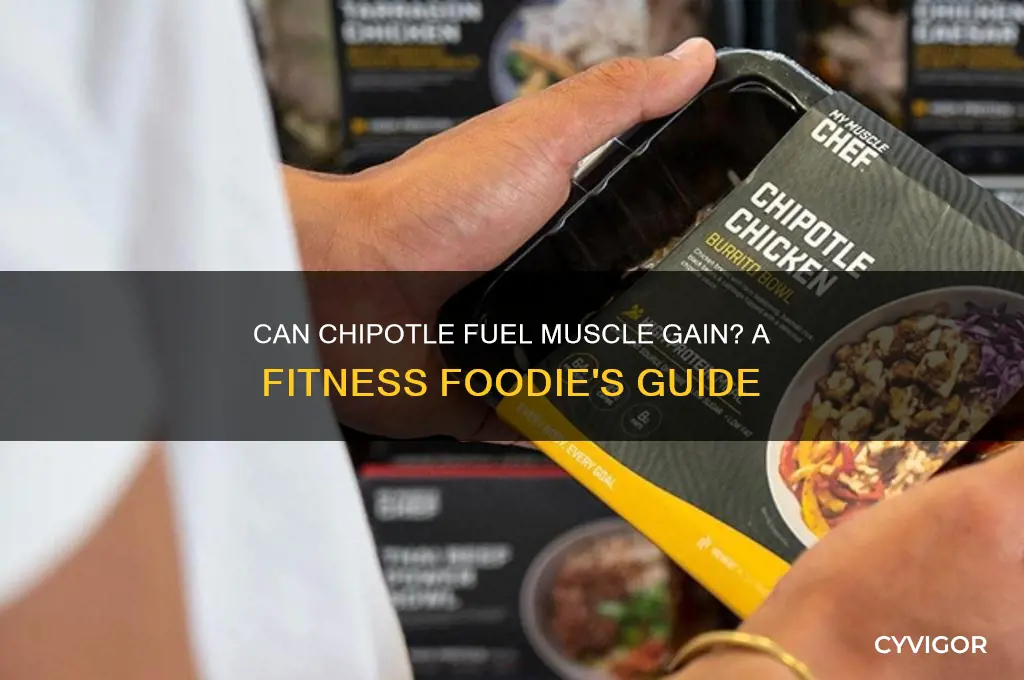 can you eat chipotle to gain muscle