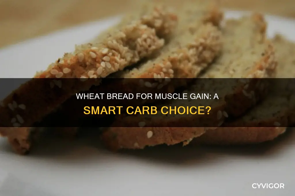 can you eat wheat bread while gaining muscle
