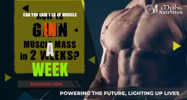 Is Gaining 1 Pound of Muscle Weekly Realistic? Find Out!