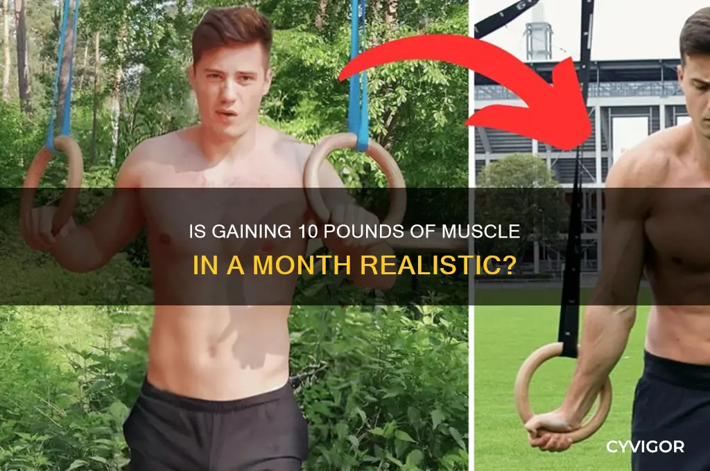 can you gain 10 lbs of muscle in a month