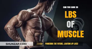 Building 20 Pounds of Muscle: Is It Realistically Achievable?