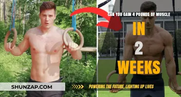 Is Gaining 4 Pounds of Muscle in 2 Weeks Possible?
