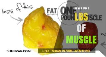 Gaining 5 Pounds of Muscle: Is It Realistic and How?