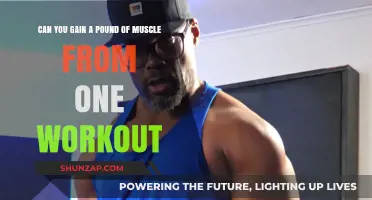 Can One Workout Build a Pound of Muscle? The Truth Revealed