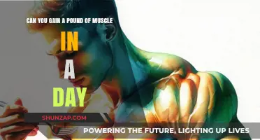 Can You Really Build a Pound of Muscle in 24 Hours?
