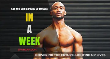 Is Gaining a Pound of Muscle Weekly Realistic or Myth?