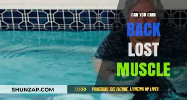 Regaining Lost Muscle: Proven Strategies for Rebuilding Strength and Size