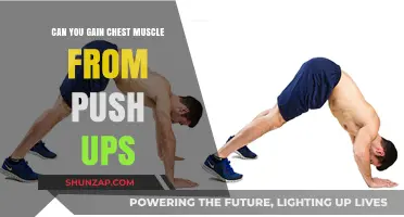 Can Push-Ups Build Chest Muscles? The Truth Revealed