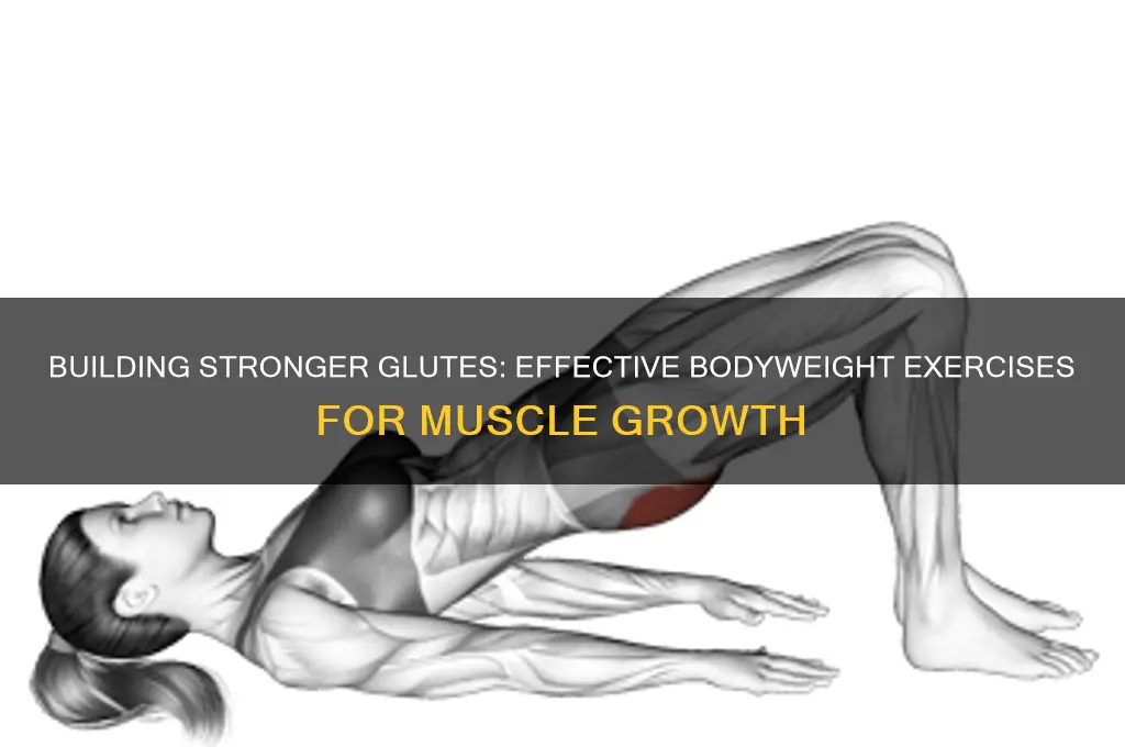 can you gain glute muscle without weights