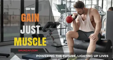 Can You Gain Just Muscle? Separating Fact from Fiction in Fitness