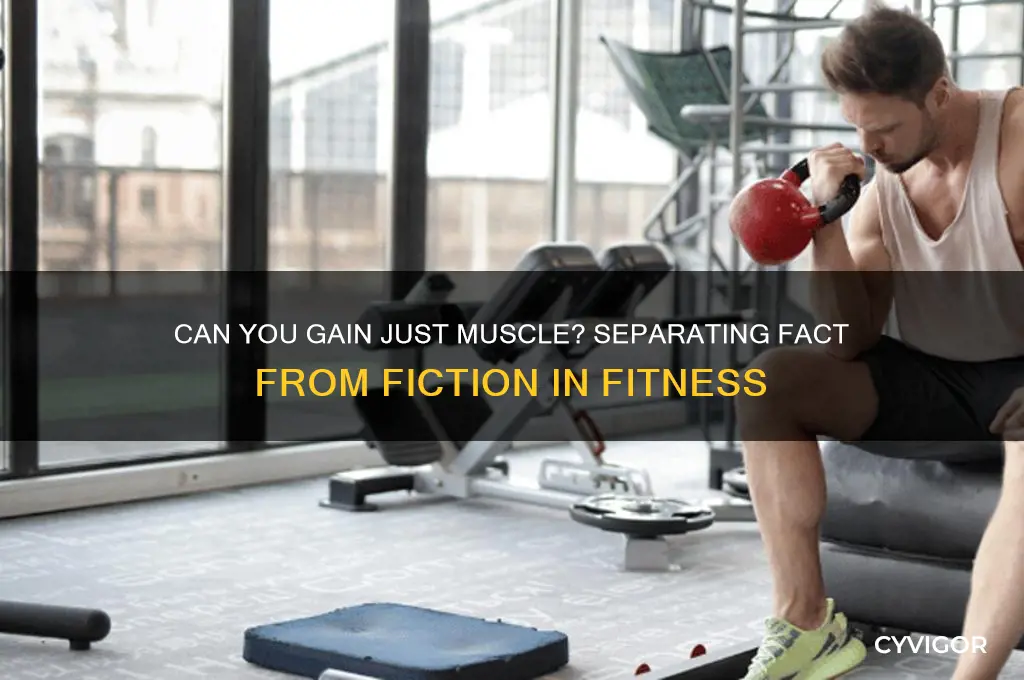 can you gain just muscle