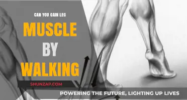 Walking for Stronger Legs: Can You Build Muscle Just by Walking?
