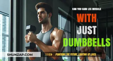 Build Stronger Legs: Dumbbell-Only Workouts for Muscle Growth