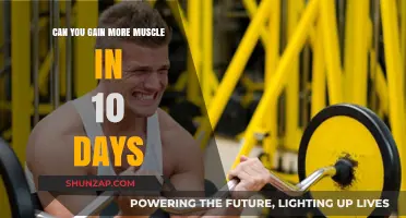 Rapid Muscle Growth: Is 10 Days Enough for Noticeable Gains?