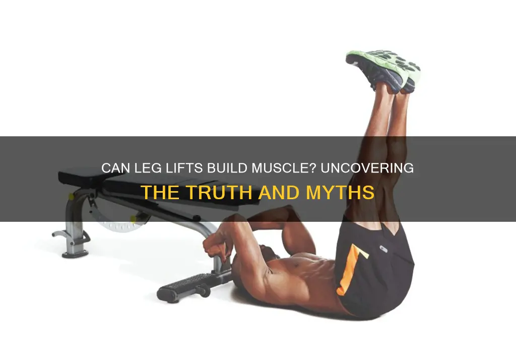 can you gain muscjular muscle by wearing legs lifts