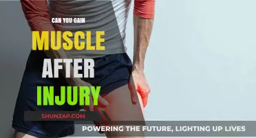 Rebuilding Strength: Can You Gain Muscle After an Injury?