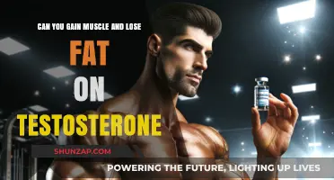 Muscle Gain and Fat Loss on Testosterone: Is It Possible?