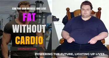 Building Muscle, Burning Fat: Cardio-Free Strategies for Success