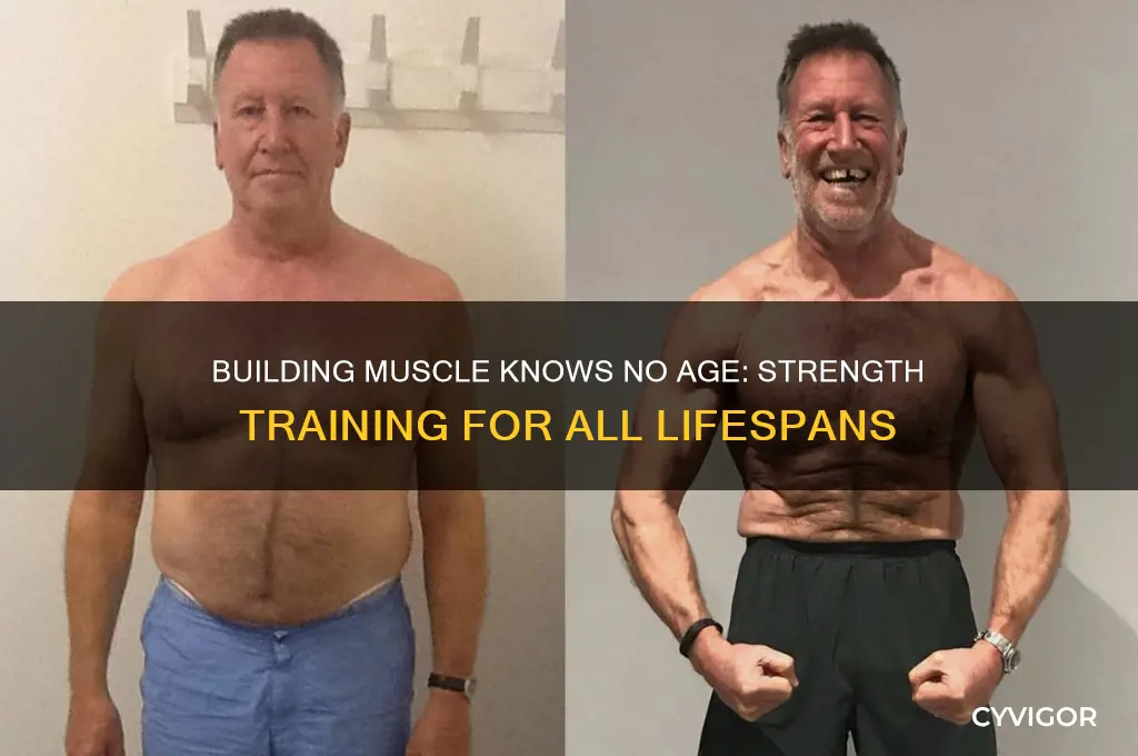 can you gain muscle at any age