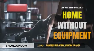 Build Muscle at Home: Effective Equipment-Free Workout Strategies