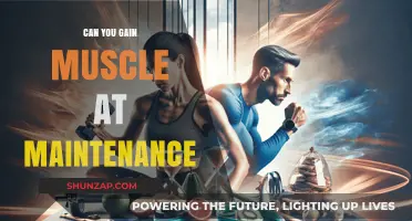 Building Muscle at Maintenance: Strategies for Strength Without Surplus Calories