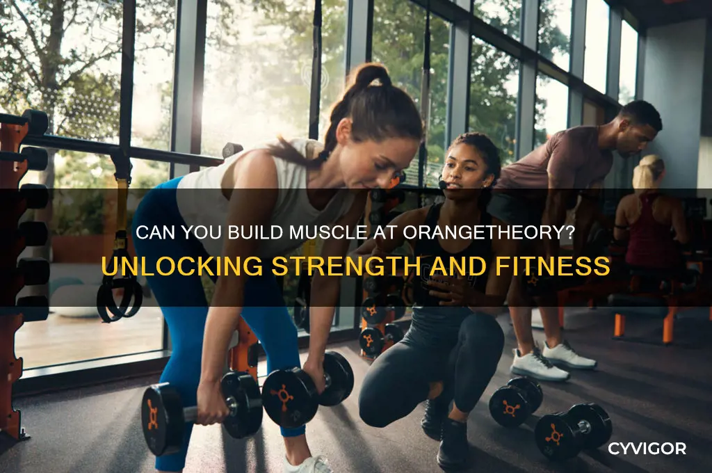 can you gain muscle at orangetheory