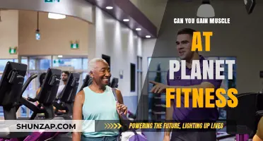 Building Muscle at Planet Fitness: Is It Really Possible?