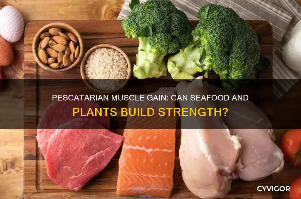 can you gain muscle being pescataarina