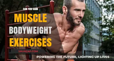 Building Muscle Without Weights: Effective Bodyweight Exercises for Strength