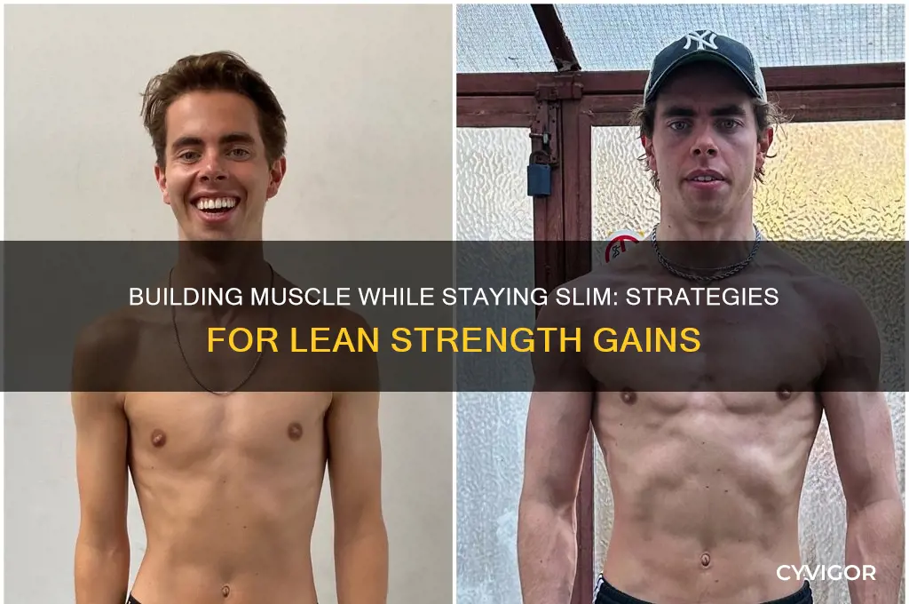 can you gain muscle but stay s