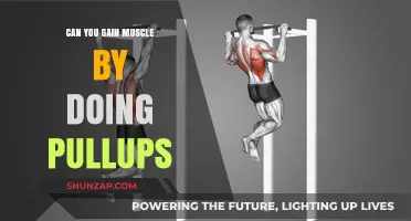 Can Pull-Ups Build Muscle? Unlocking Strength and Growth Potential