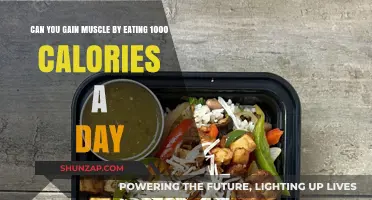 Gaining Muscle on 1000 Calories Daily: Myth or Feasible?