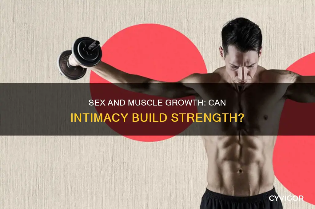 can you gain muscle by having sex