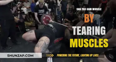 Muscle Tearing and Growth: Unraveling the Myth of Muscle Gain