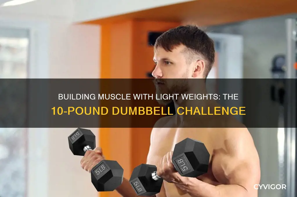 can you gain muscle by using 10 lb dumbbells