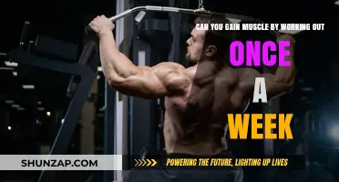 Can You Build Muscle with Just One Weekly Workout?