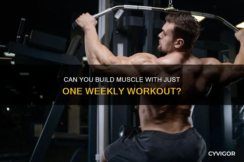 can you gain muscle by working out once a week