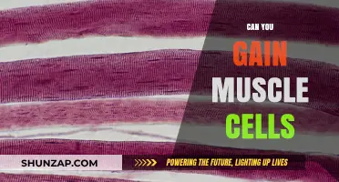 Can You Gain Muscle Cells? Unlocking the Science of Muscle Growth