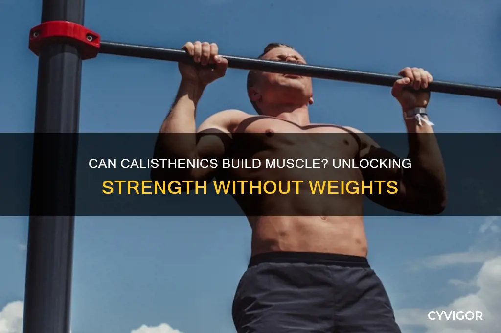 can you gain muscle doing calisthenics