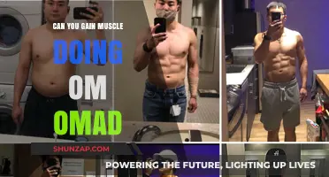 OMAD and Muscle Gain: Can One Meal a Day Build Strength?