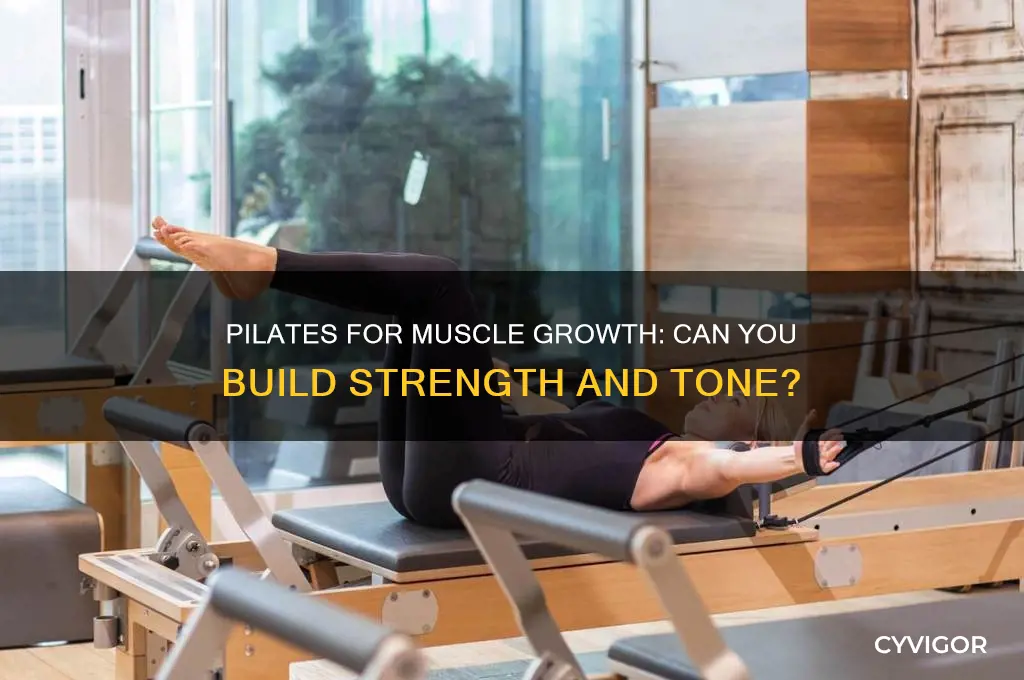 can you gain muscle doing pilates