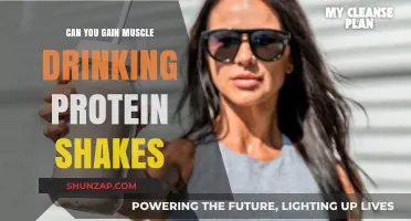 Can Protein Shakes Help You Build Muscle? Facts and Myths