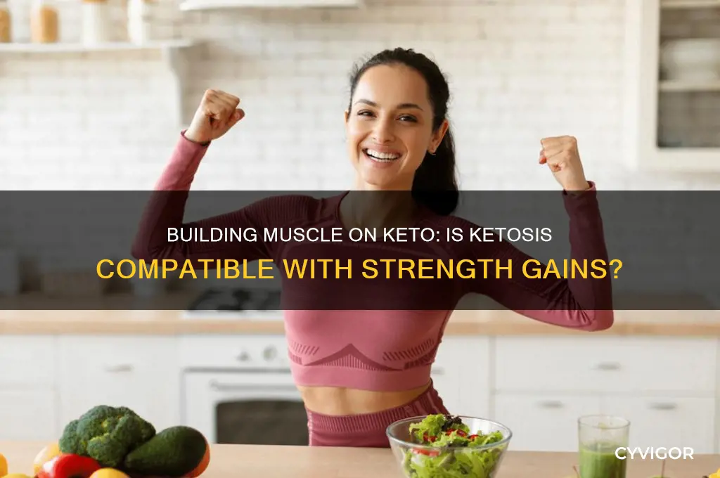 can you gain muscle during ketosis
