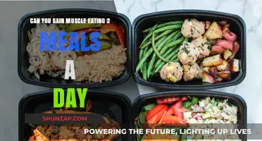 Can You Build Muscle Eating Just Two Meals Daily?