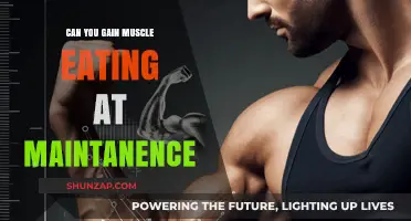Building Muscle at Maintenance: Is It Possible Without a Caloric Surplus?