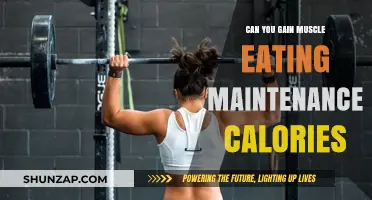 Building Muscle on Maintenance Calories: Fact or Fitness Myth?